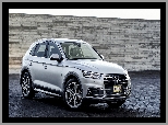 2017, Srebrne, Audi Q5