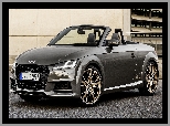 Audi TT Roadster Bronze