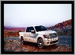 Ford, F-150