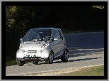 Srebrne Fortwo